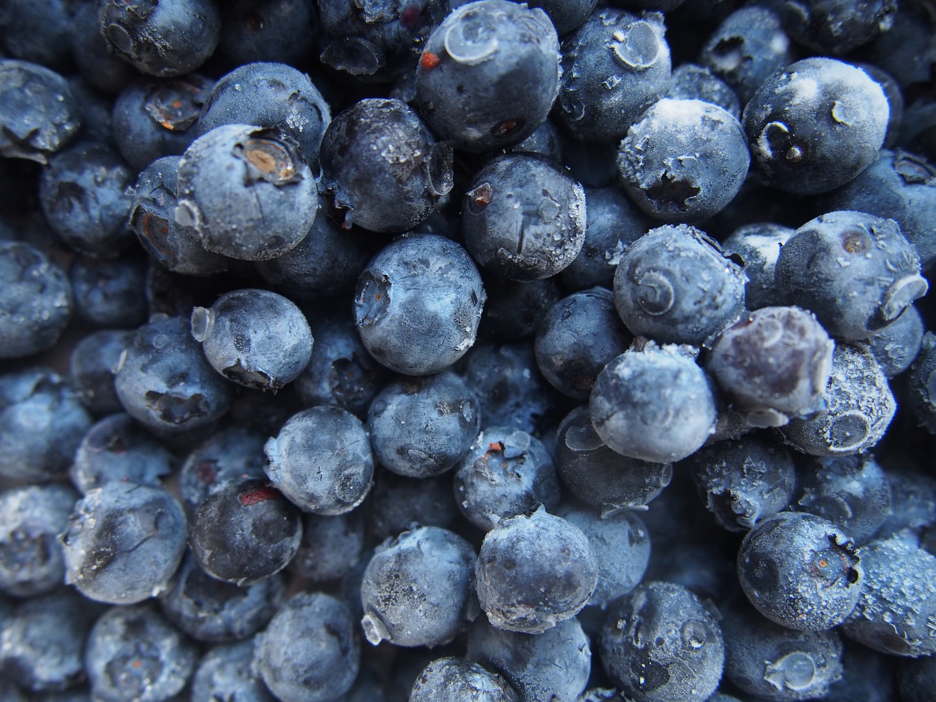 Do blueberries have seeds?