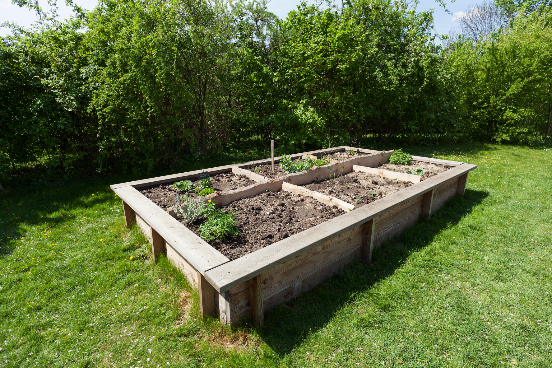 How can you build a mini farm garden in a small yard?