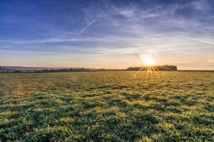 sun shining over a field