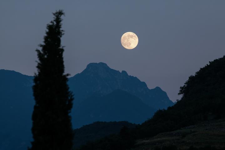 full supermoon over the mountains with a tree in front