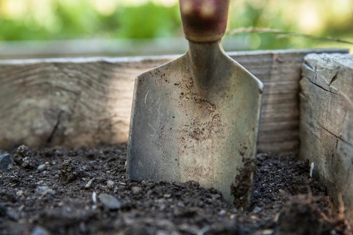 Soil shovel in the soil in a raised bed