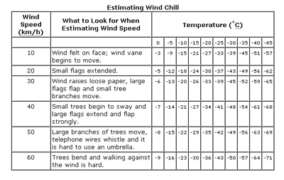 Printable New Wind Chill Chart