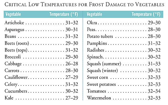 Vegetable Germination Temperature Chart