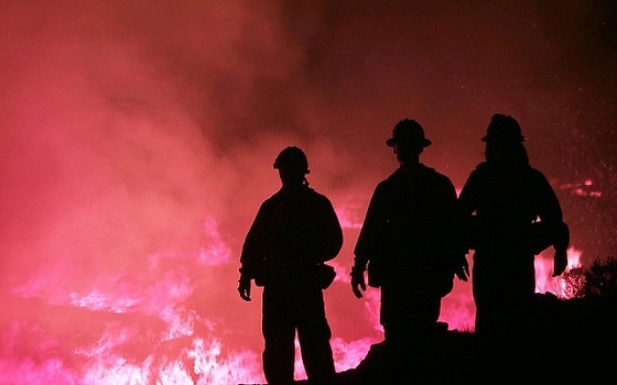 firefighters in a forest fire