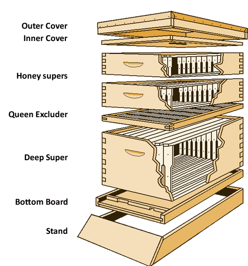 Beekeeping 101: Building a Hive The Old Farmer's Almanac