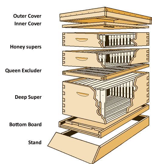 Beekeeping 101: Building a Hive  The Old Farmer's Almanac