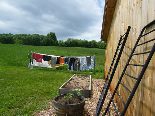 hanging clothes on a clothesline in the backyard