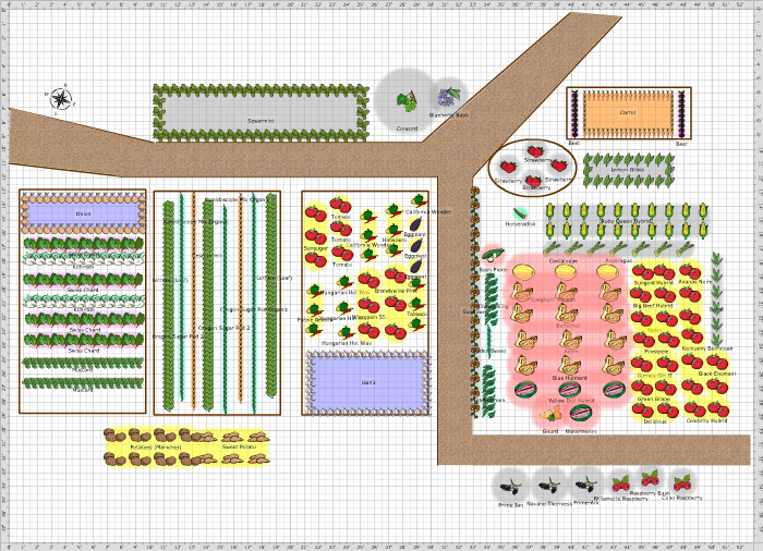 Vegetable Sunlight Requirement Chart