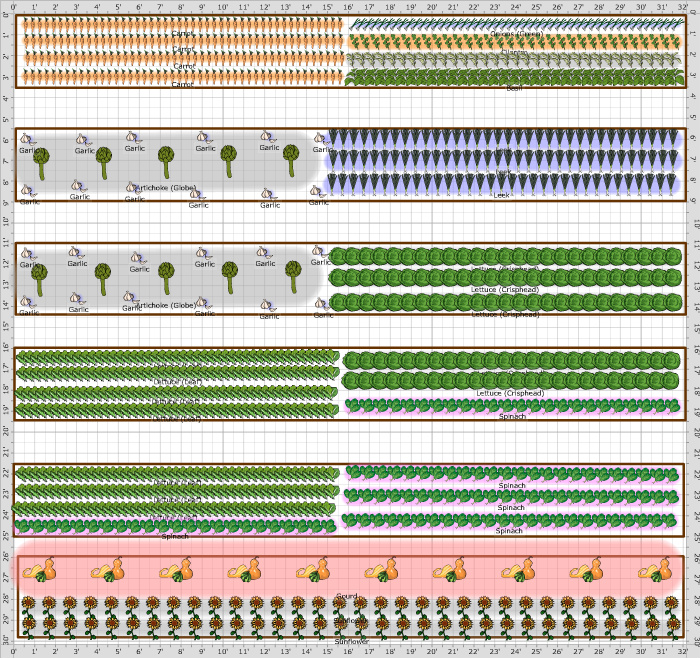 Vegetable Sunlight Chart