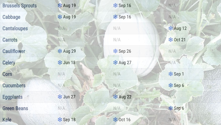 Planting Calendar When To Start, Fall Garden Planting Schedule Nc