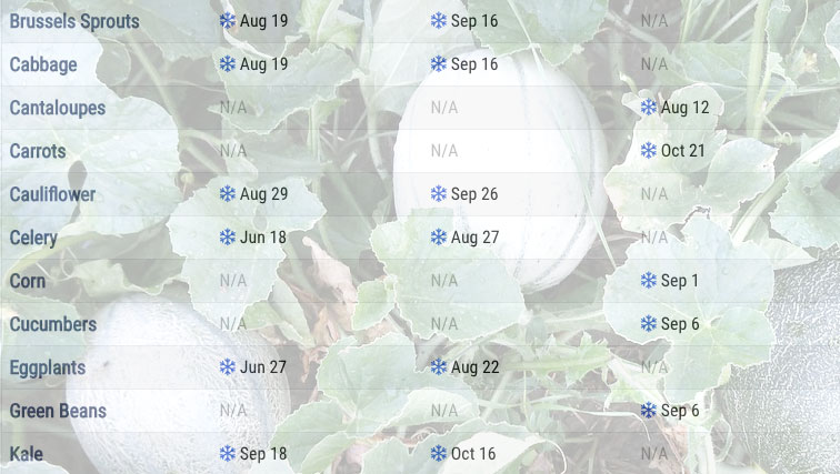 Planting Calendar For Places In Alberta Old Farmer S Almanac