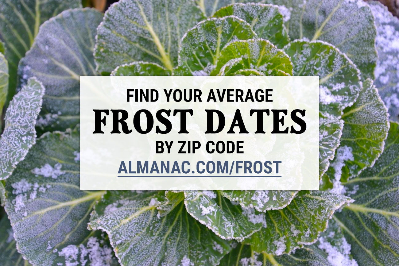 First and Last Frost Dates for Places in Tennessee