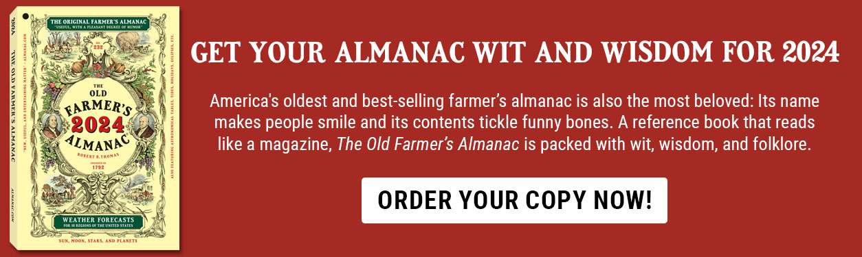 What The Heck Is Mincemeat? - Farmers' Almanac - Plan Your Day. Grow Your  Life.