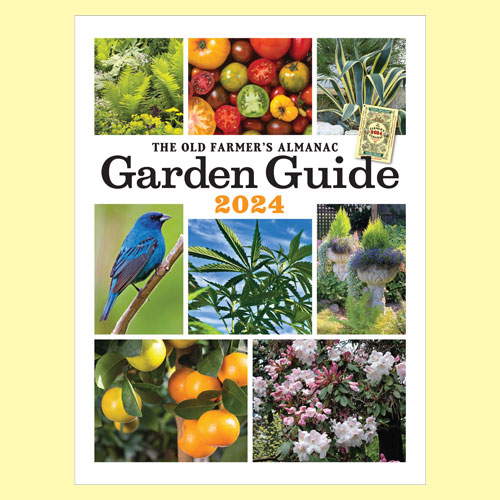 2024 Garden Guide