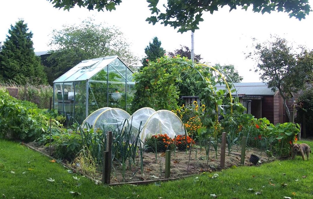 Backyard Vegetable Garden Layout The, Greenhouse Vegetable Garden Layout