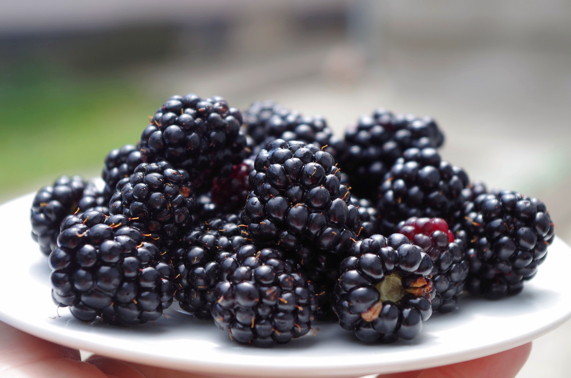 Blackberry Ripening Chart