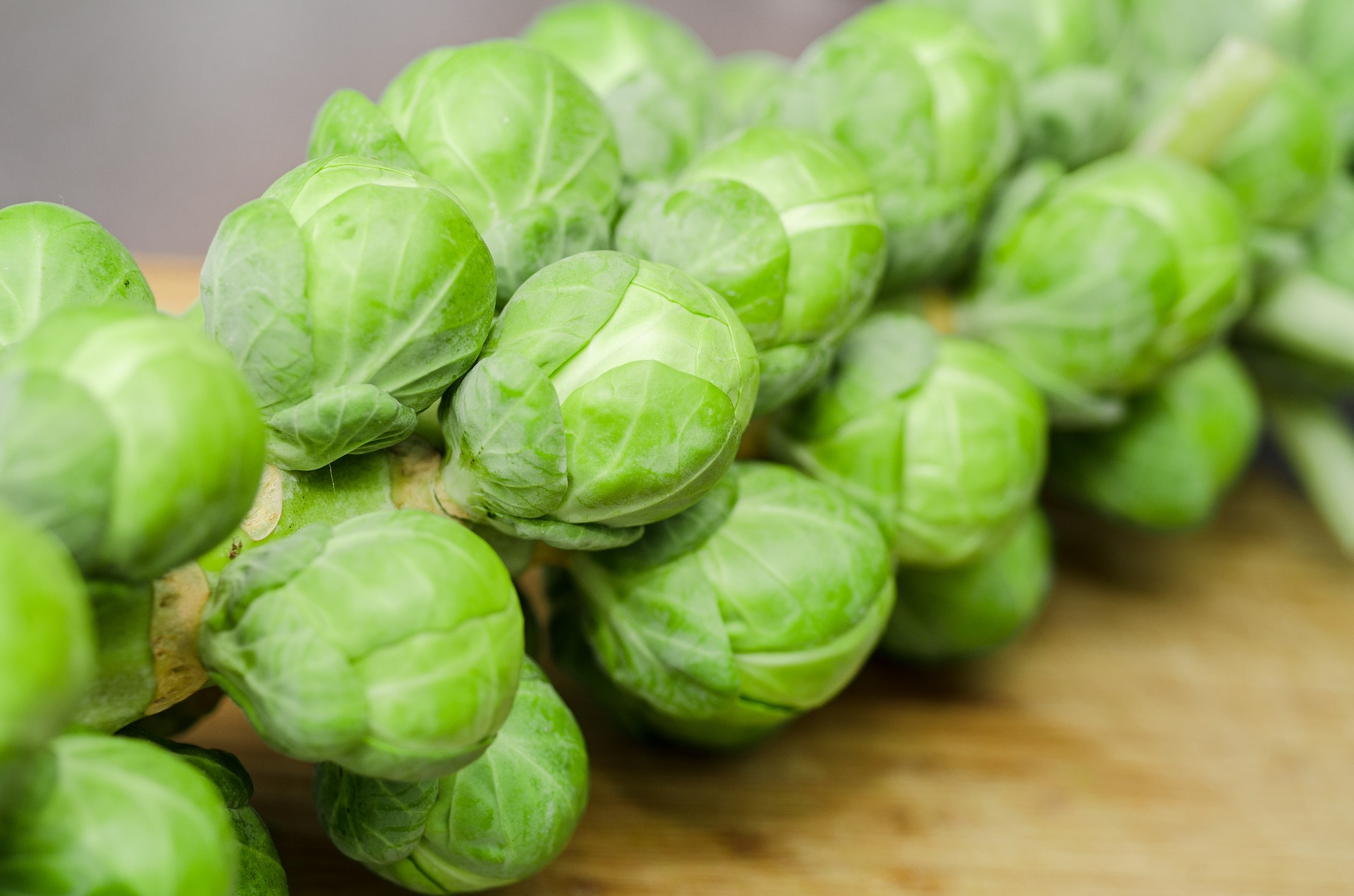 Brussels Sprouts Planting Growing And Harvesting Brussels Sprouts Brussels Sprouts Planting Growing And Harvesting Brussels Sprouts