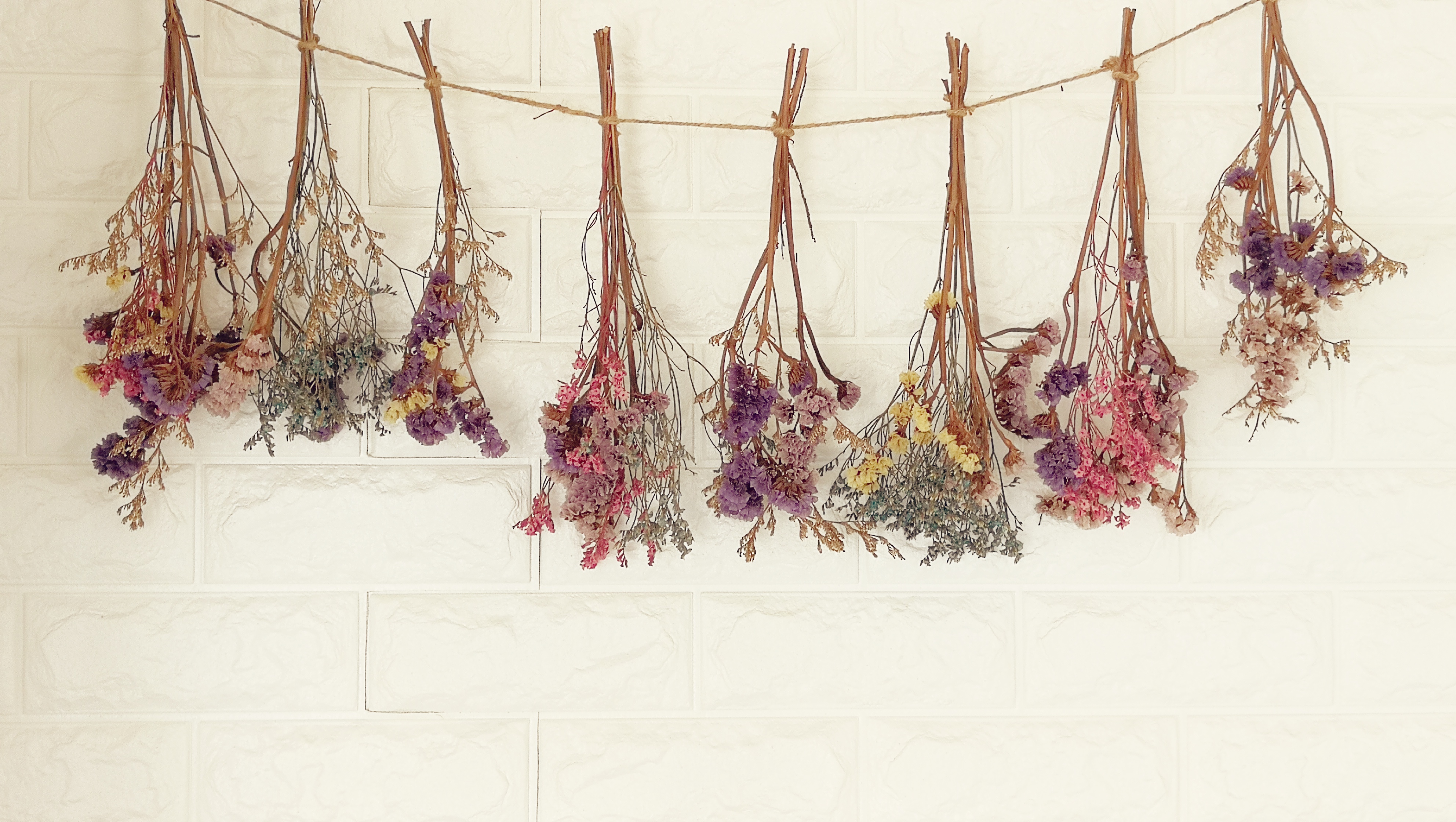 How To Dry Flowers What Are The Best Flowers For Drying The Old Farmer S Almanac