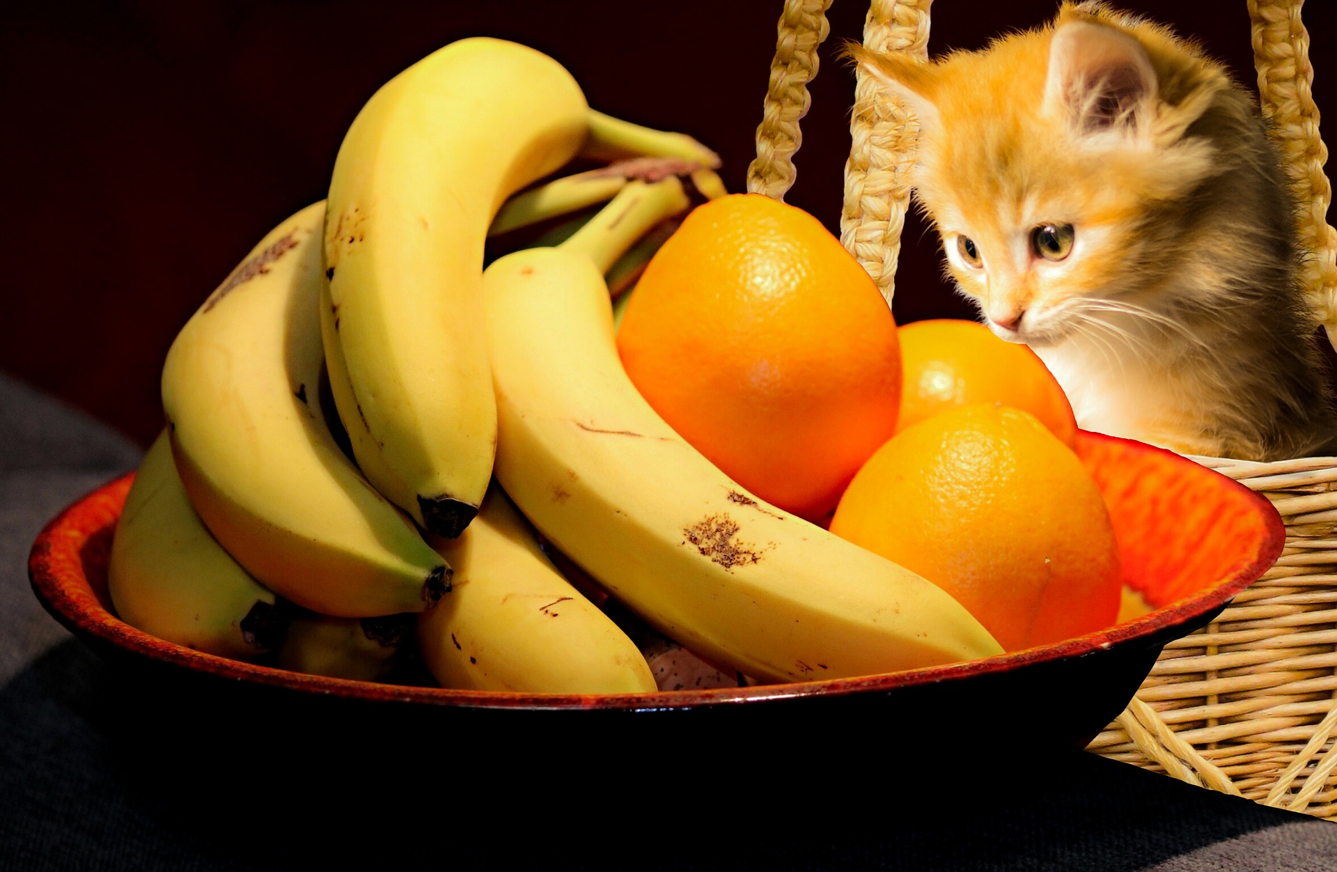 Can Cats Eat Bananas 4 Keys To Feeding The Fruit To Your Cat Safely Daily Paws