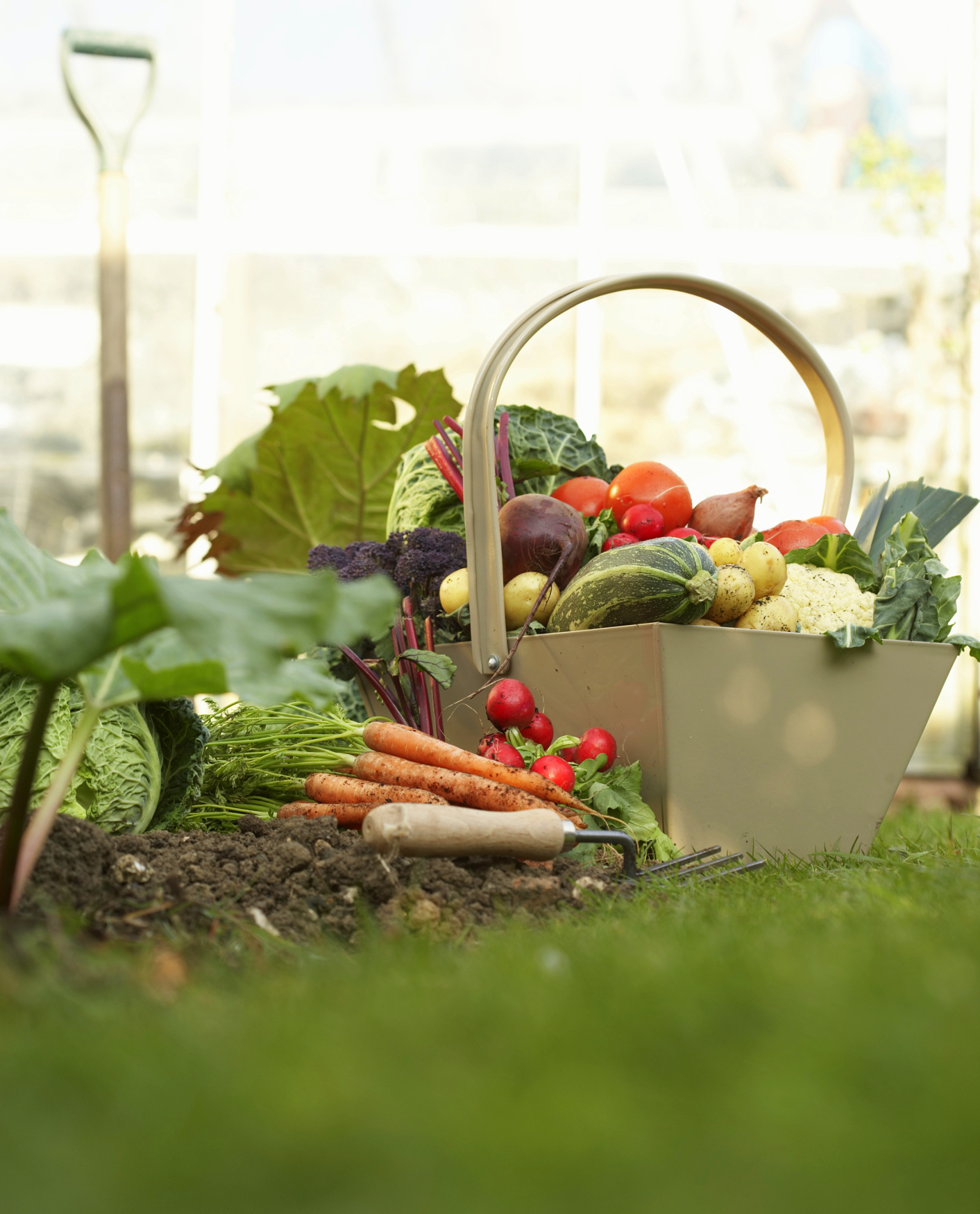 10 Tips For Beginner Gardeners The Old Farmer S Almanac