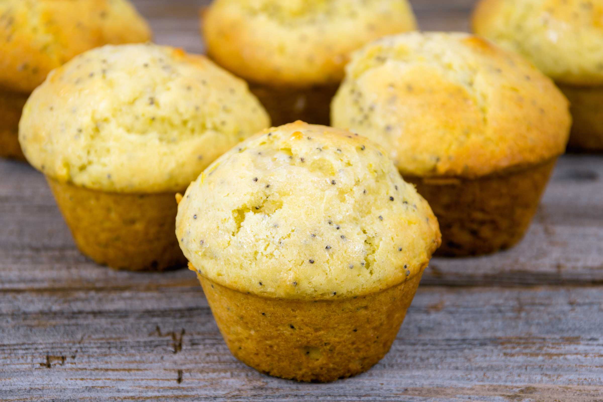 lemon poppyseed muffins