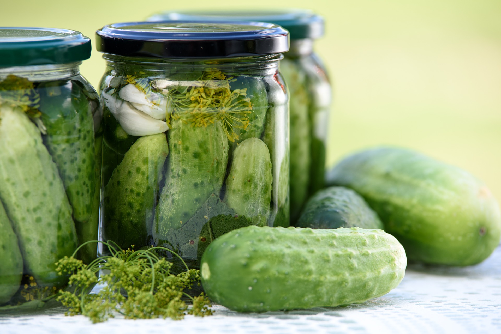Best Fermented Dill Pickle Recipe | Besto Blog