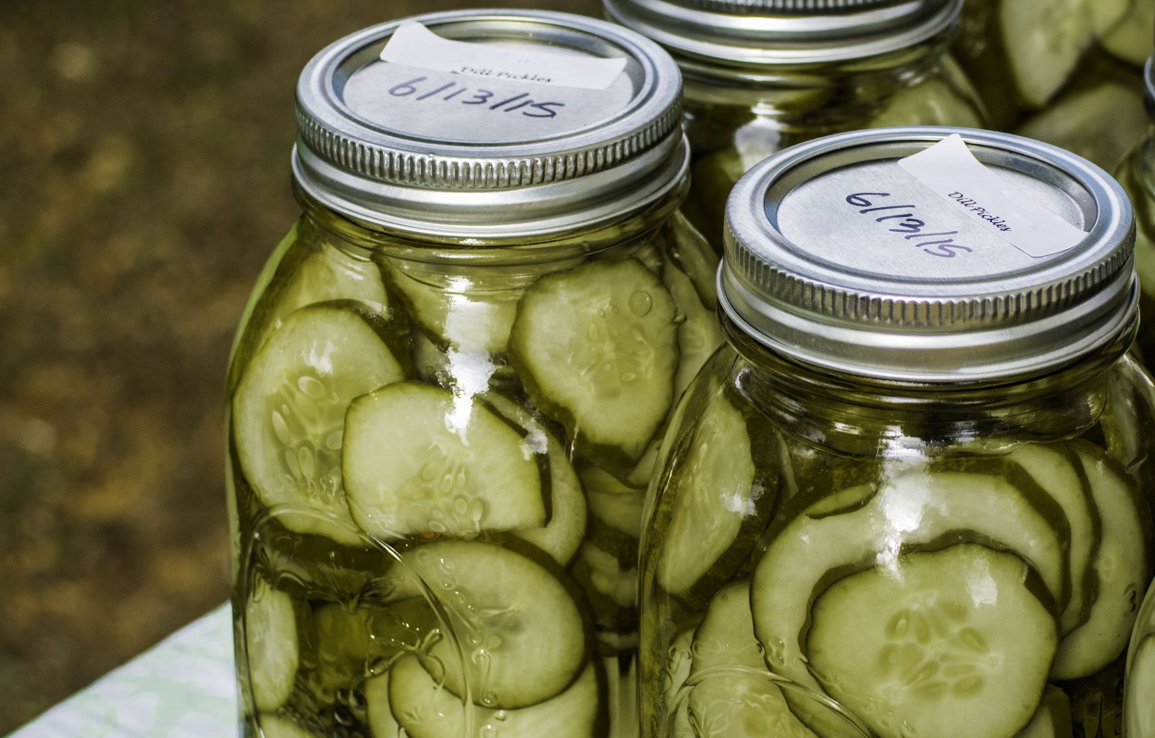 How To Make Pickles Step By Step Pickling For Beginners Recipes The Old Farmer S Almanac