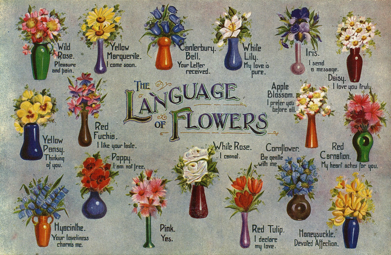 Flower Meanings Symbolism Of Flowers Herbs And More Plants The Old Farmer S Almanac