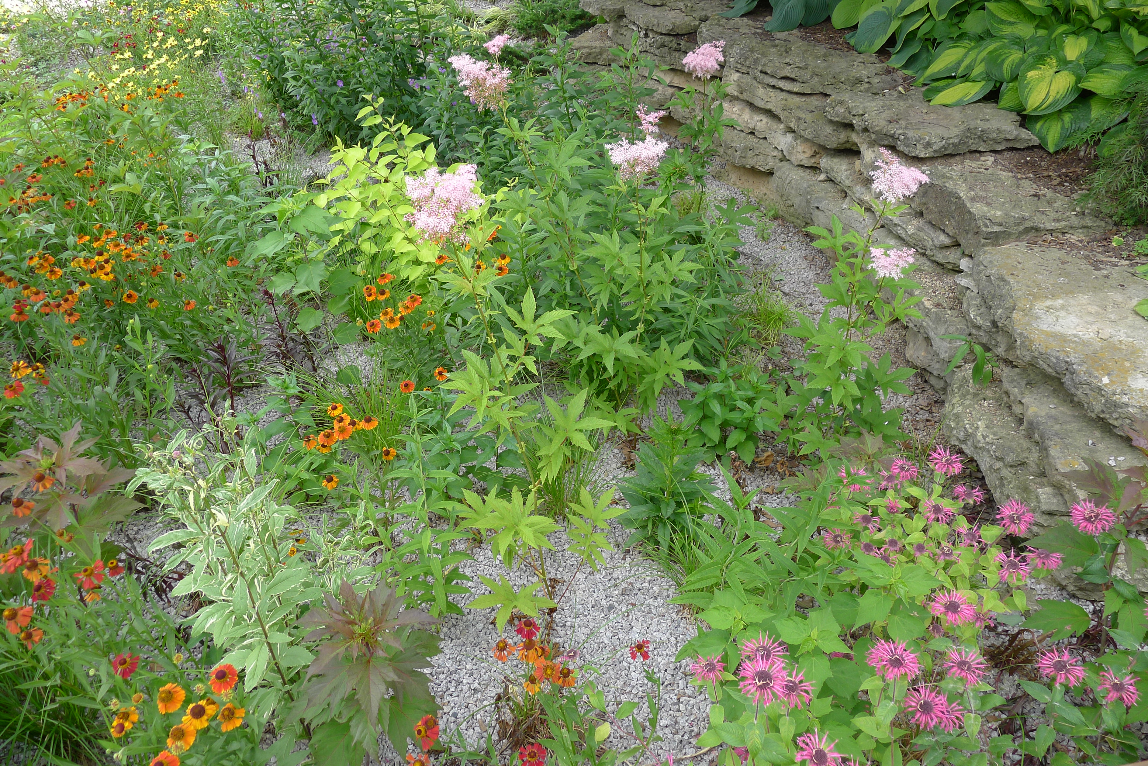 How To Build A Rain Garden Plants And Designs The Old Farmer S