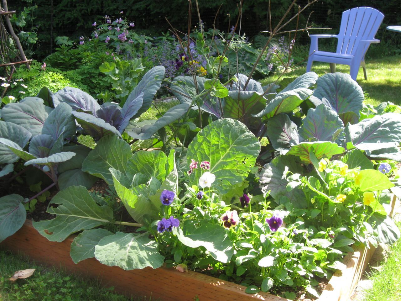 Raised Bed Garden Layout Plans | The Old Farmer's Almanac on Small Garden Designs And Layouts
 id=35278