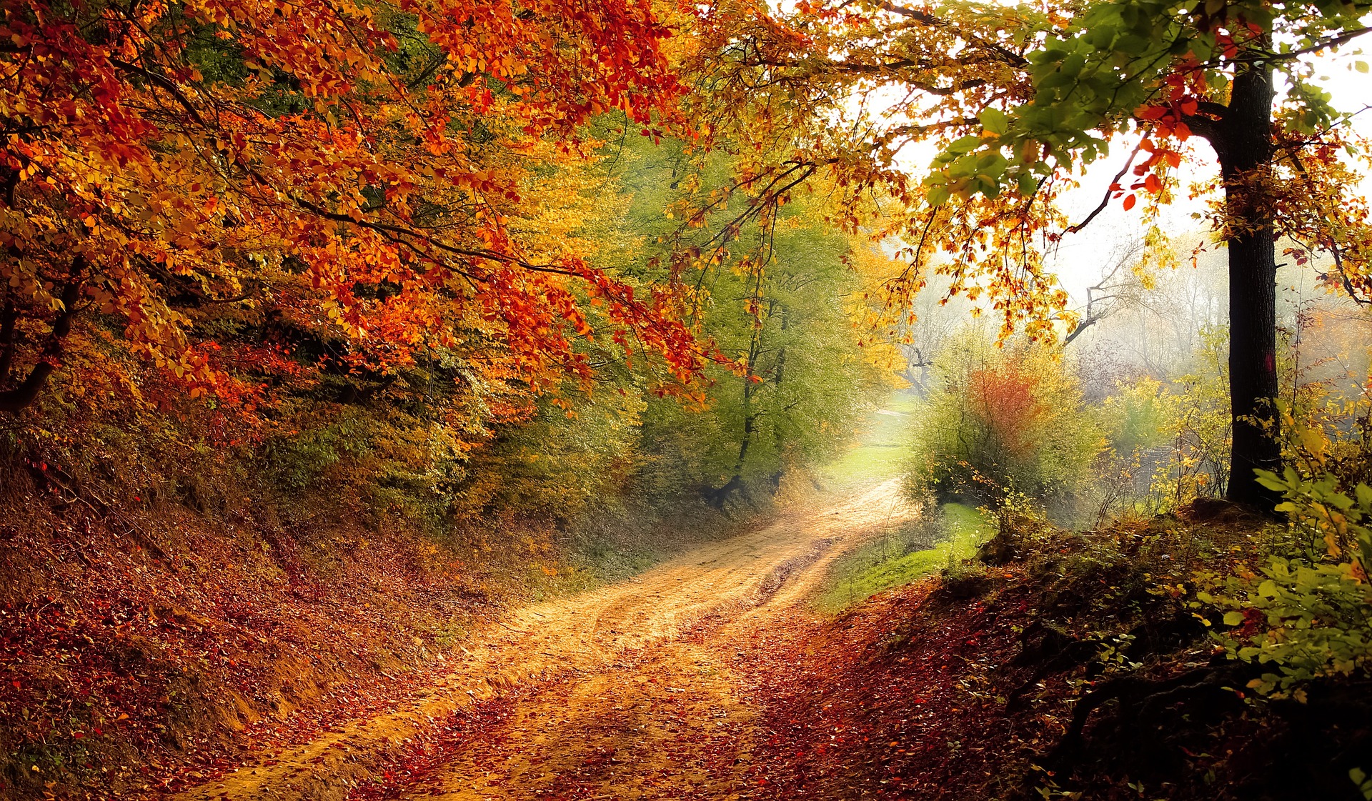 Indian Summer: What, Why, and When? | The Old Farmer's Almanac