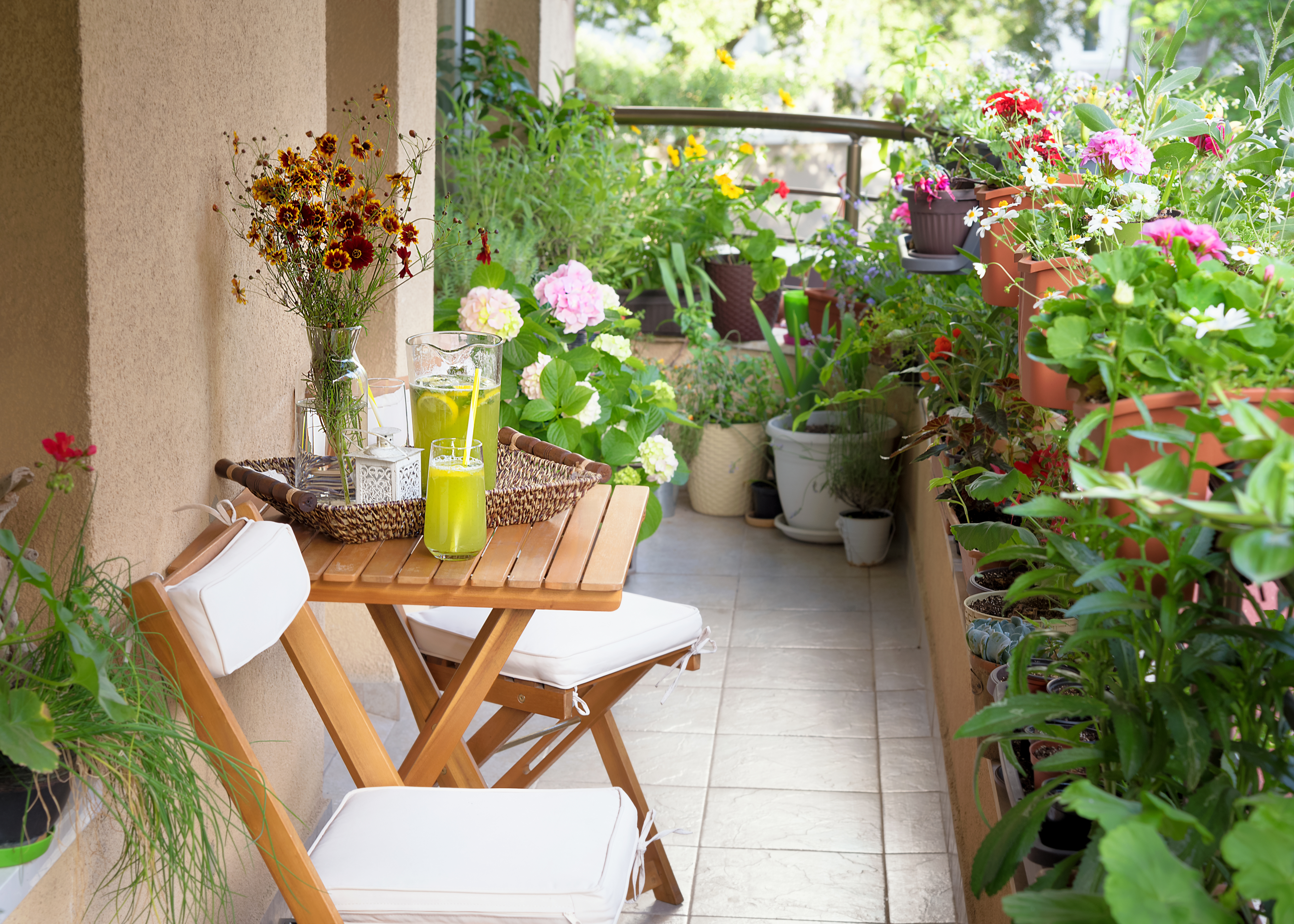 Starting A Terrace Garden Or Balcony Garden Old Farmer S Almanac