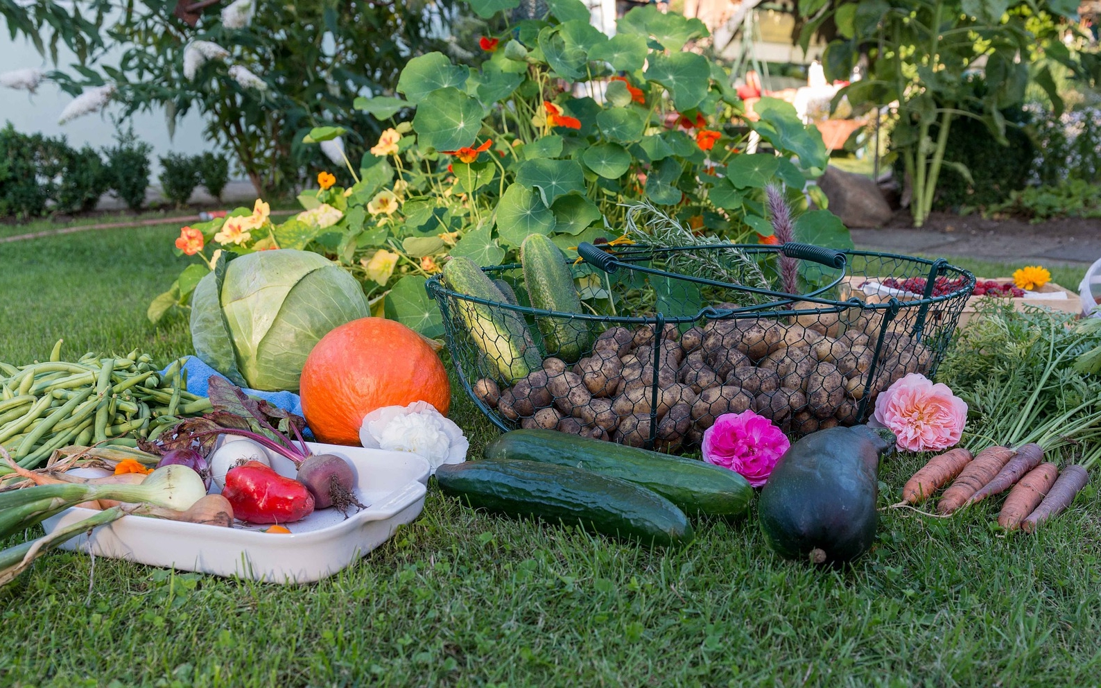 Garden That Keeps Your Pantry Stocked, Vegetable Garden Listeria