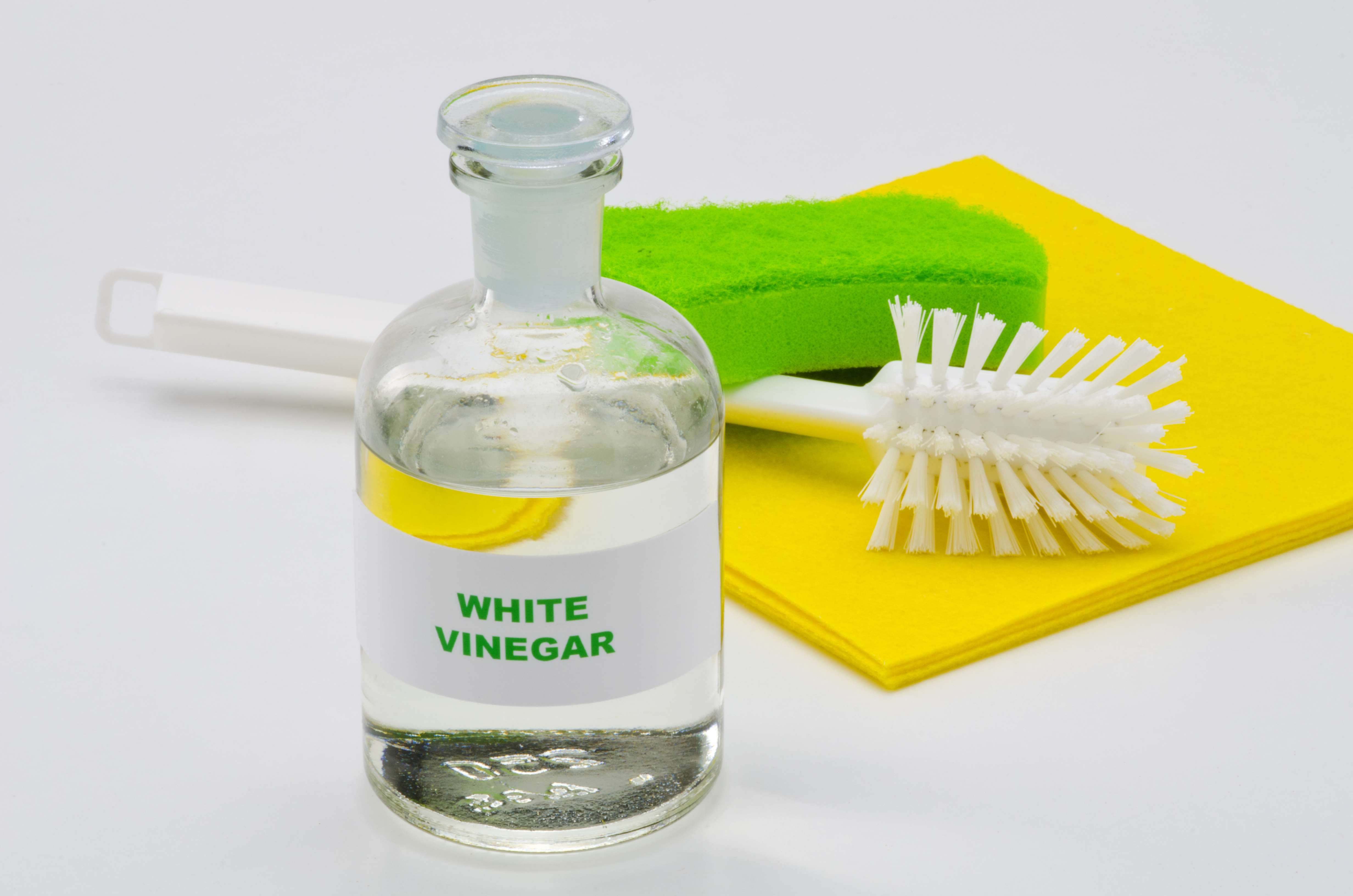 white vinegar and water for dogs