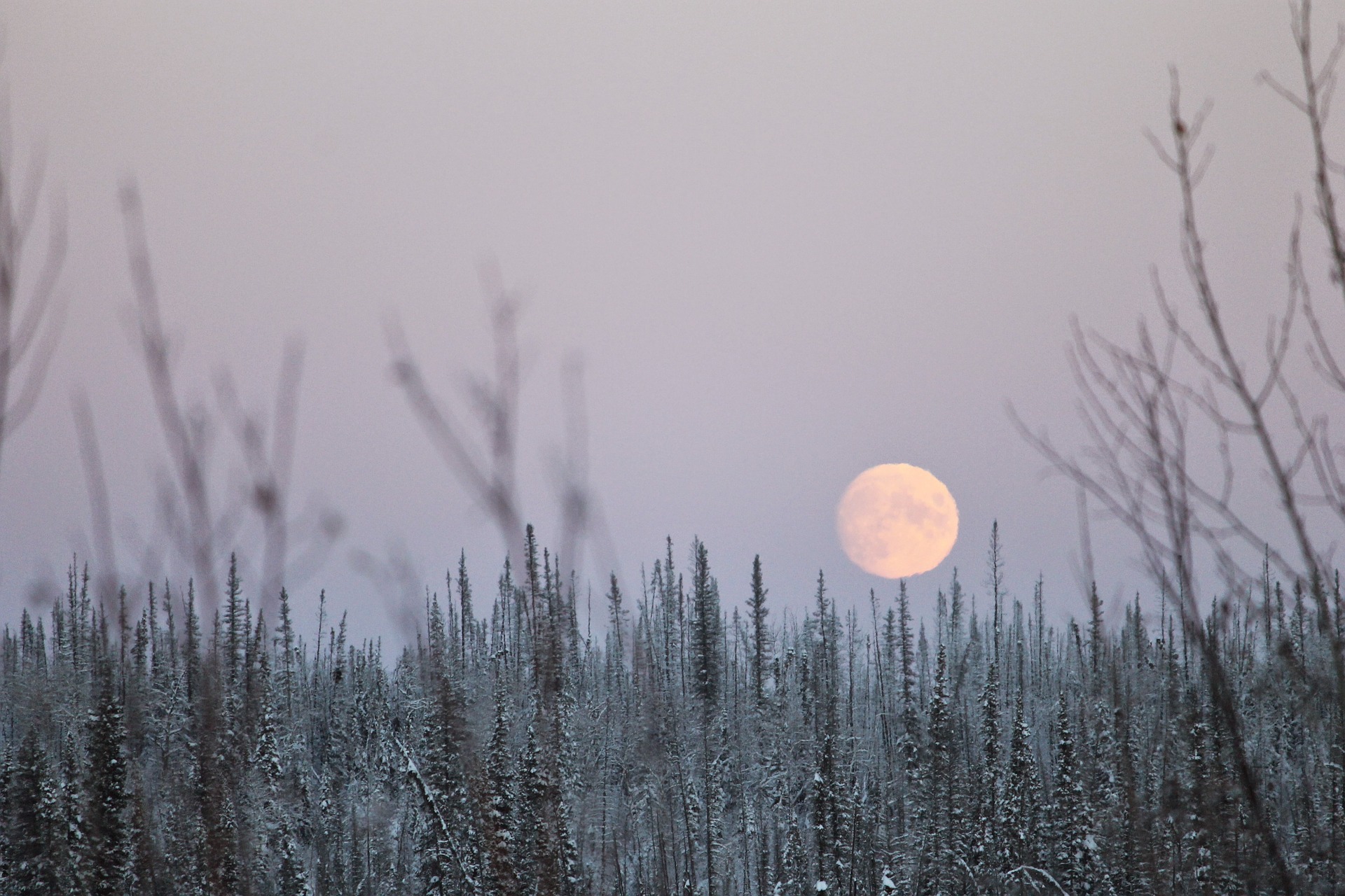 Full Moon for December 2017: The Full Cold Moon | The Old Farmer's Almanac1920 x 1280