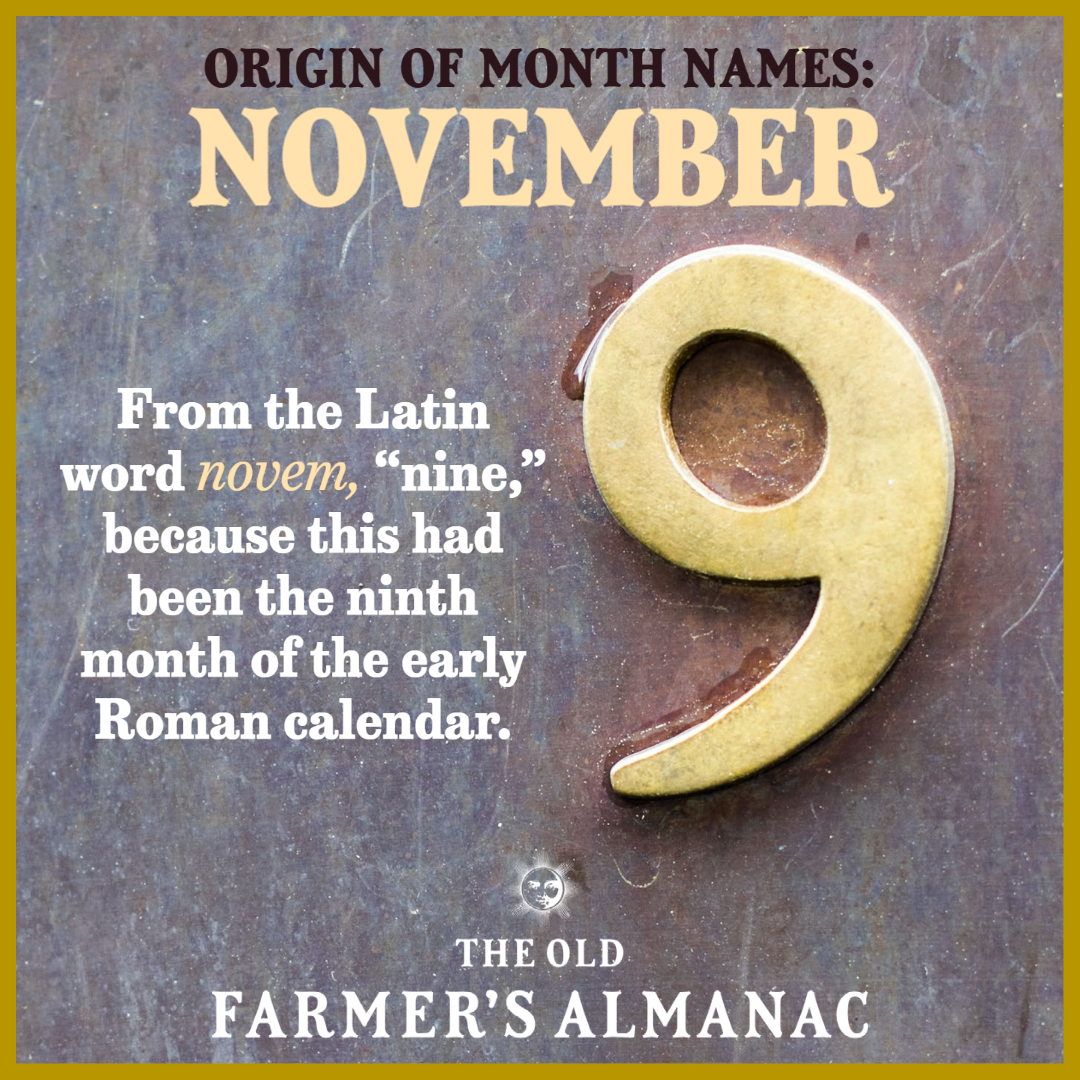 number 9, november is from the latin world Novem