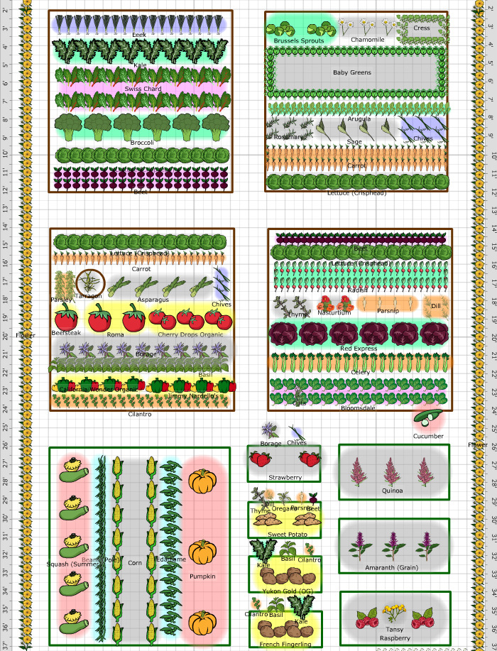 companion vegetable garden planner