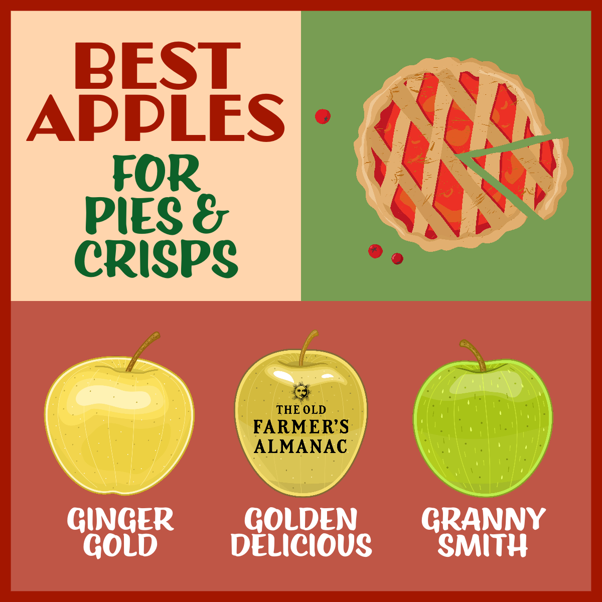 15 Different Types of Apples - Best Apples for Baking and Cooking