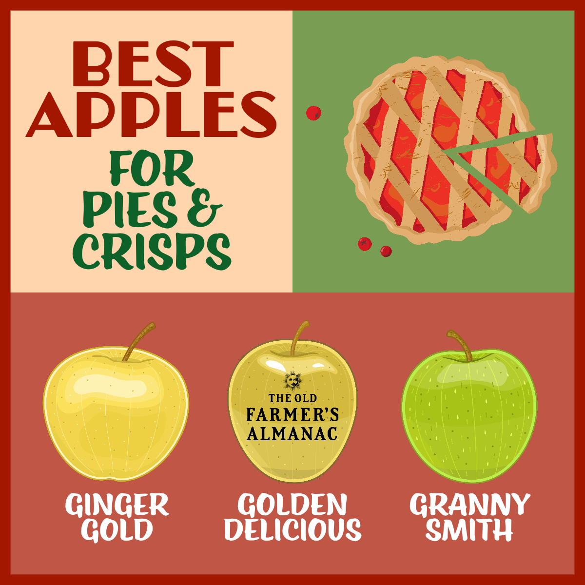 The Best Apples for Apple Pie