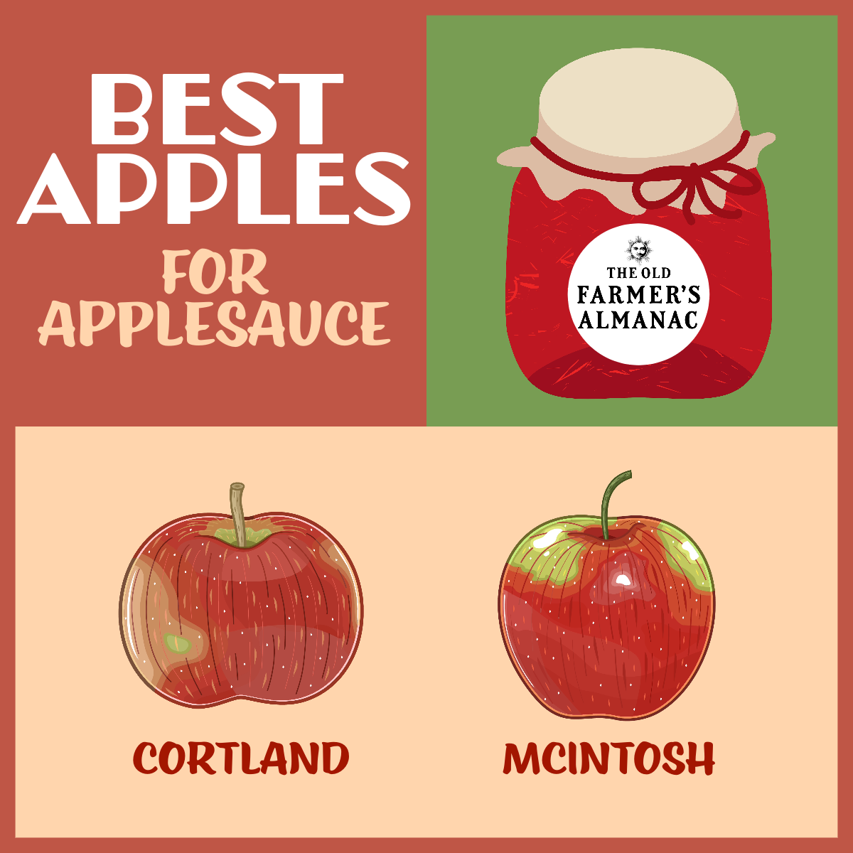 infographic the best apples for applesauce