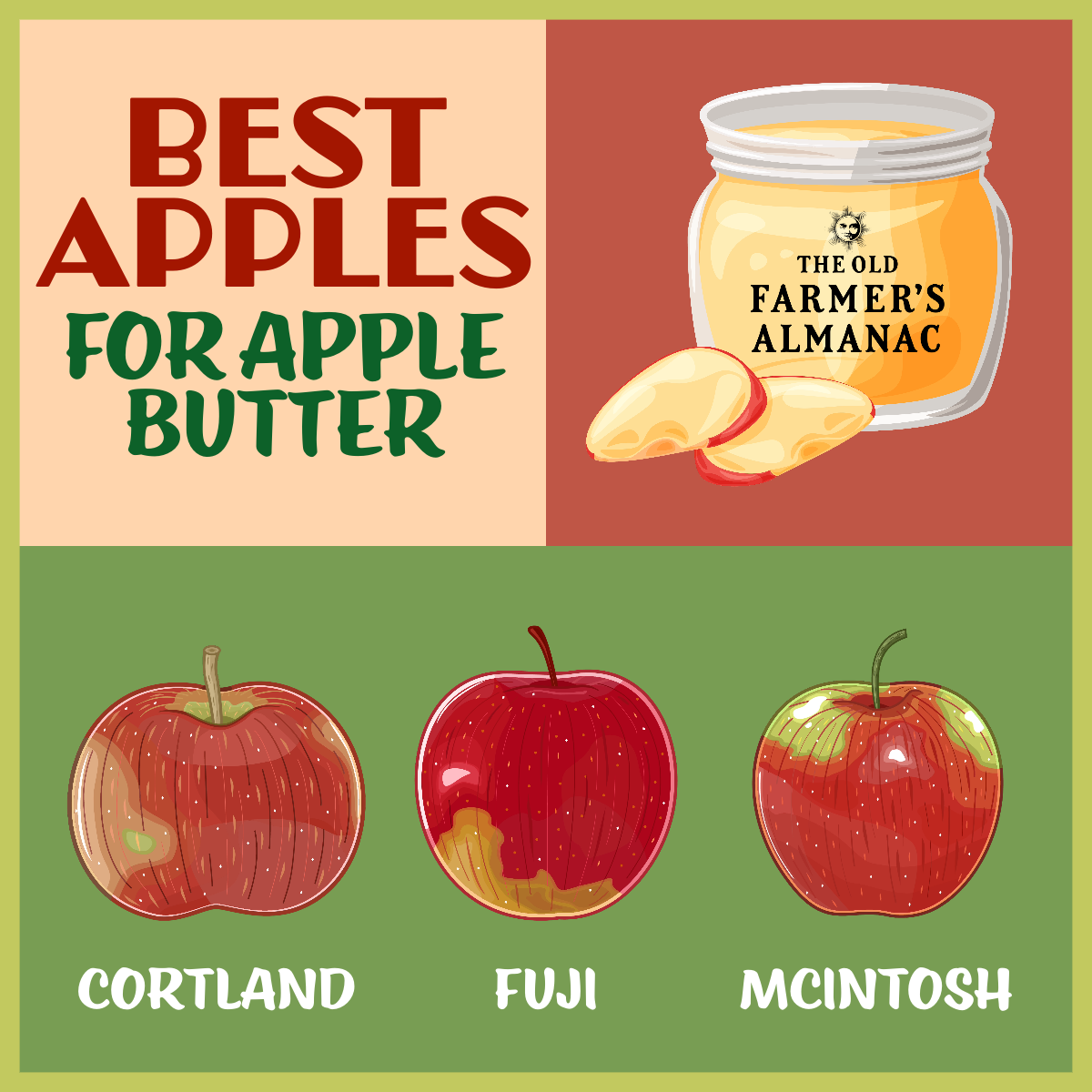 inforgraphic, the best apples for apple butter