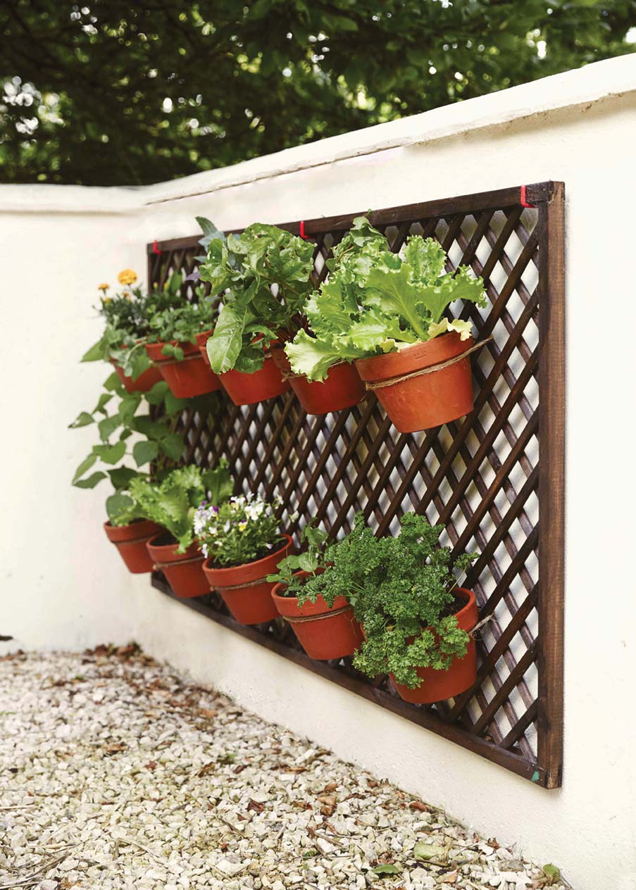 vertical gardening a living wall with a trellis and terra cotta ports with kale, marigolds, and lettuce 
