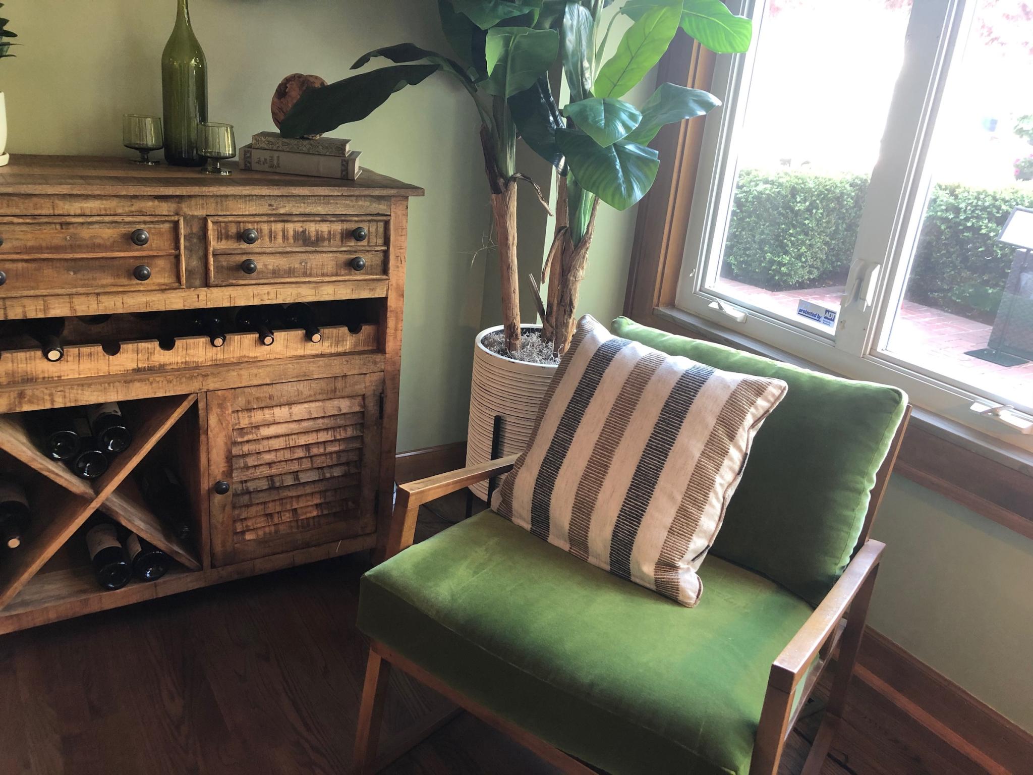 A green chair, green paint, and a green houseplant