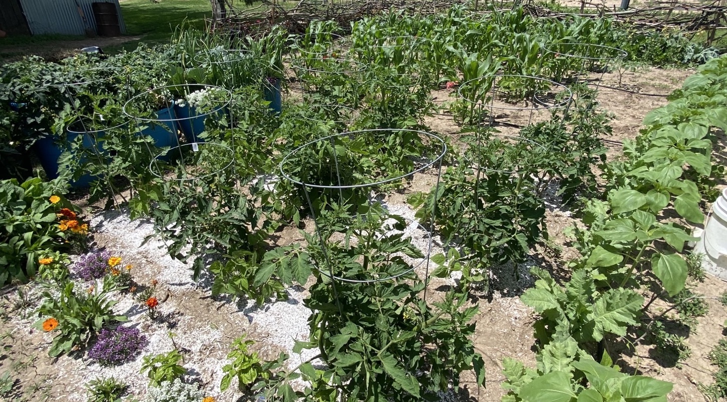 rachels garden