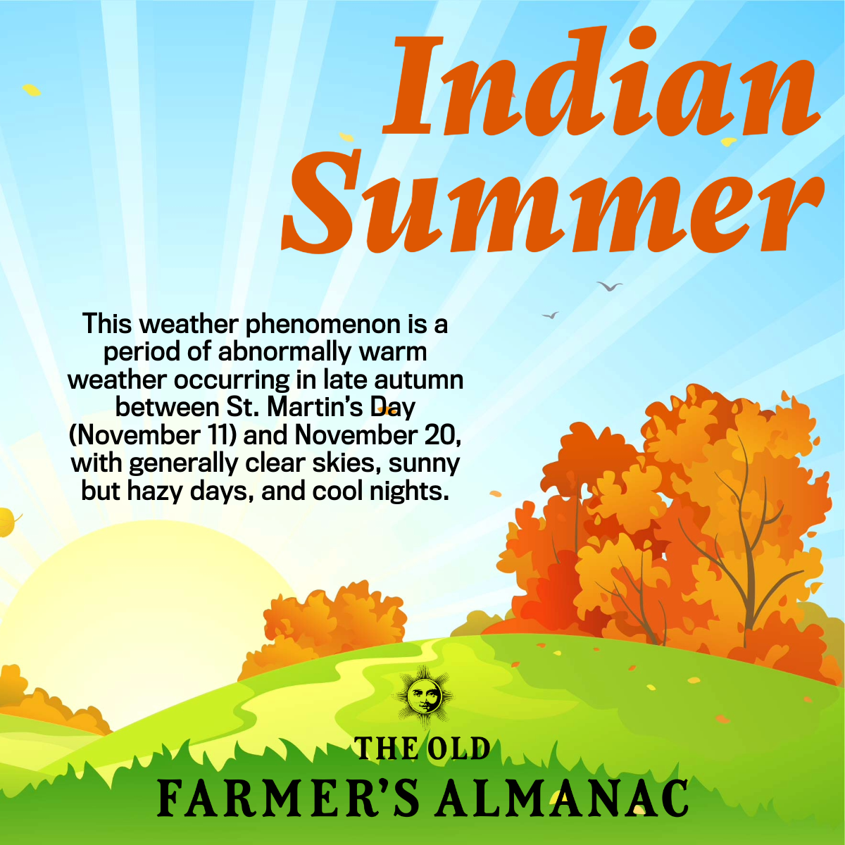 indian summer infographic