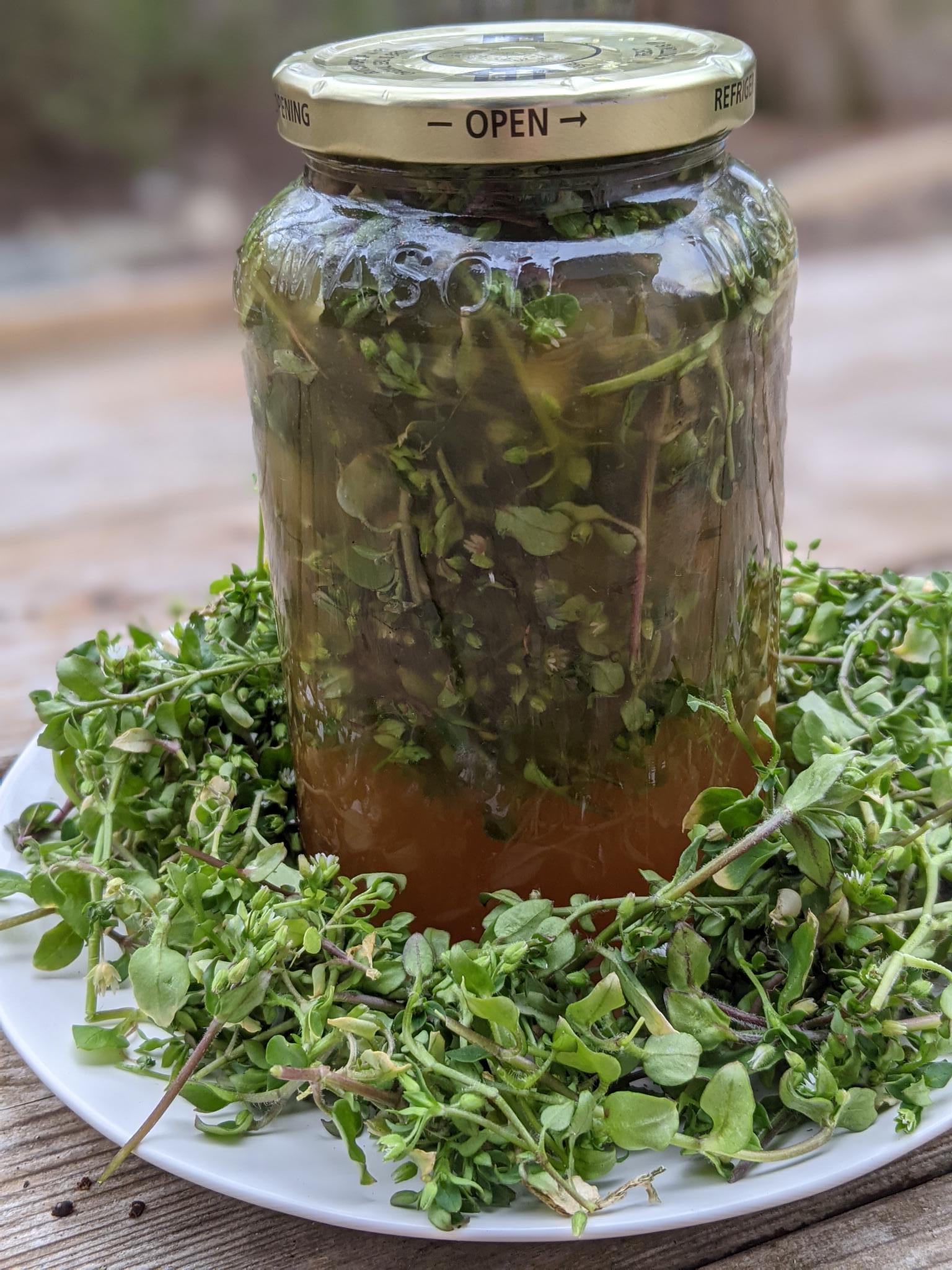chickweed vinegar