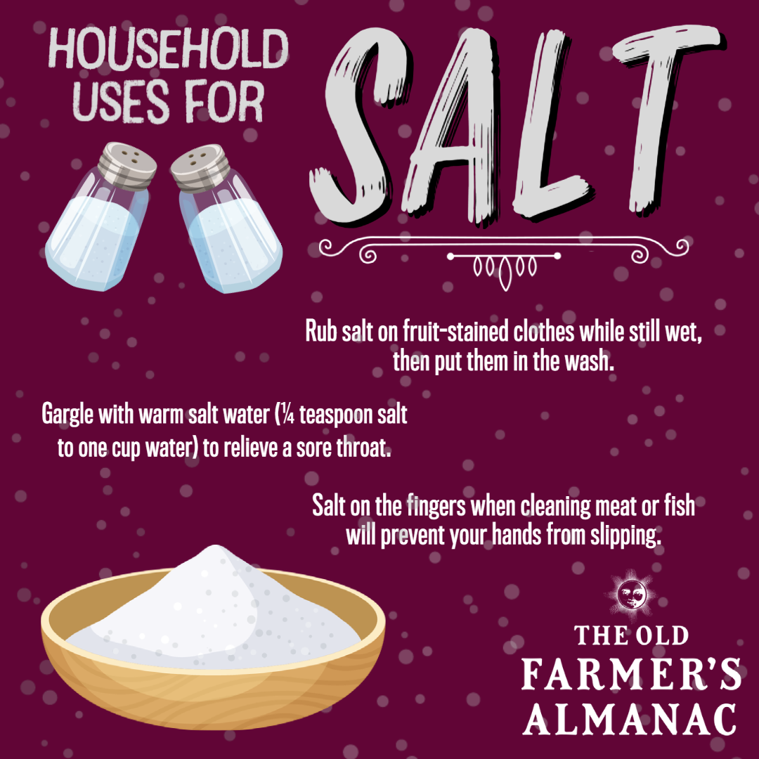 household uses for salt, salt shaker, using salt around the house