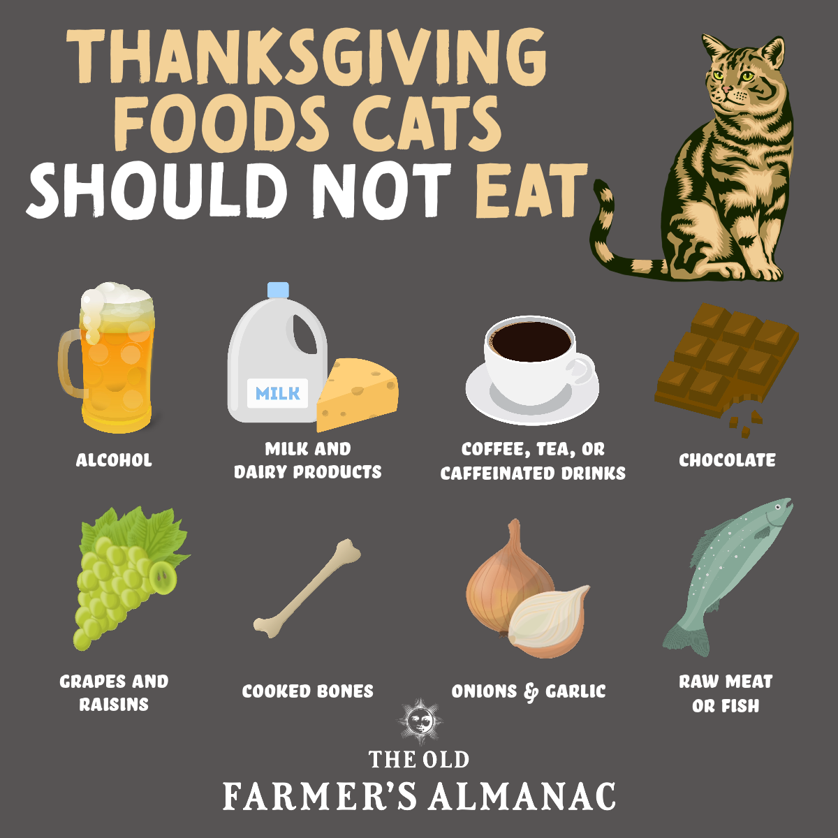 infographic about thanksgiving foods that cat should not eat