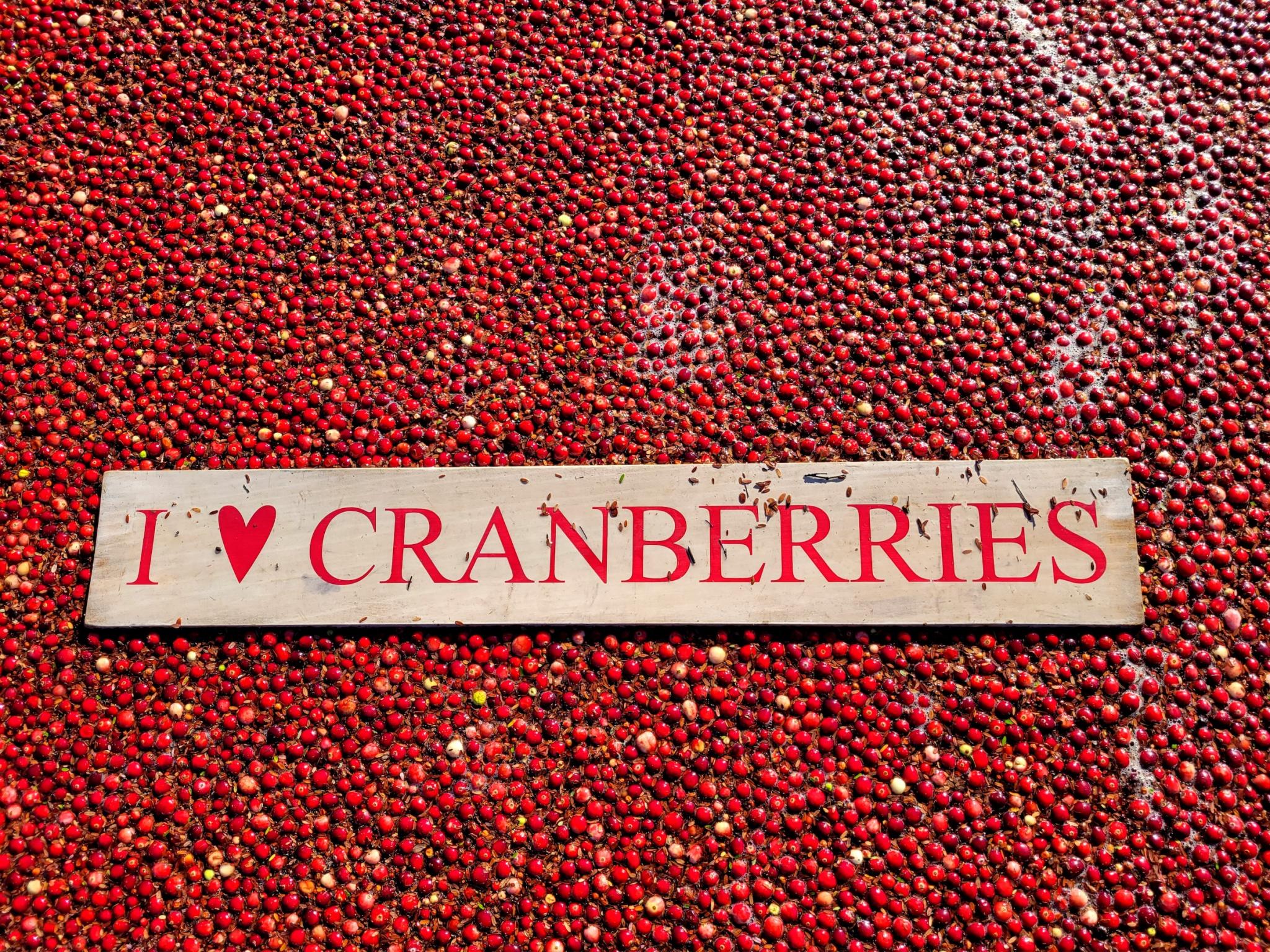 https://www.almanac.com/sites/default/files/images/cranberry-love.jpg