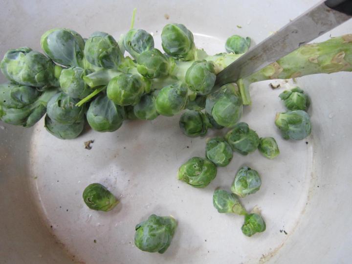cutting brussel sprouts into a bowl